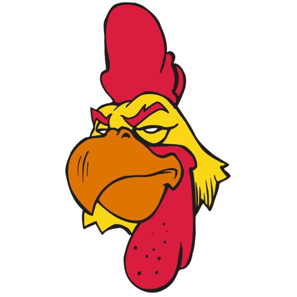 AR5 Gamecock 04 RQC Thumbnail